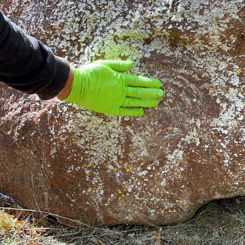 LEVEL+ Środek do czyszczenia elewacji, dachów i bruku z glonów, mchu i pleśni natychmiast z ochroną metalu L+72 - 30KG - obrazek 9